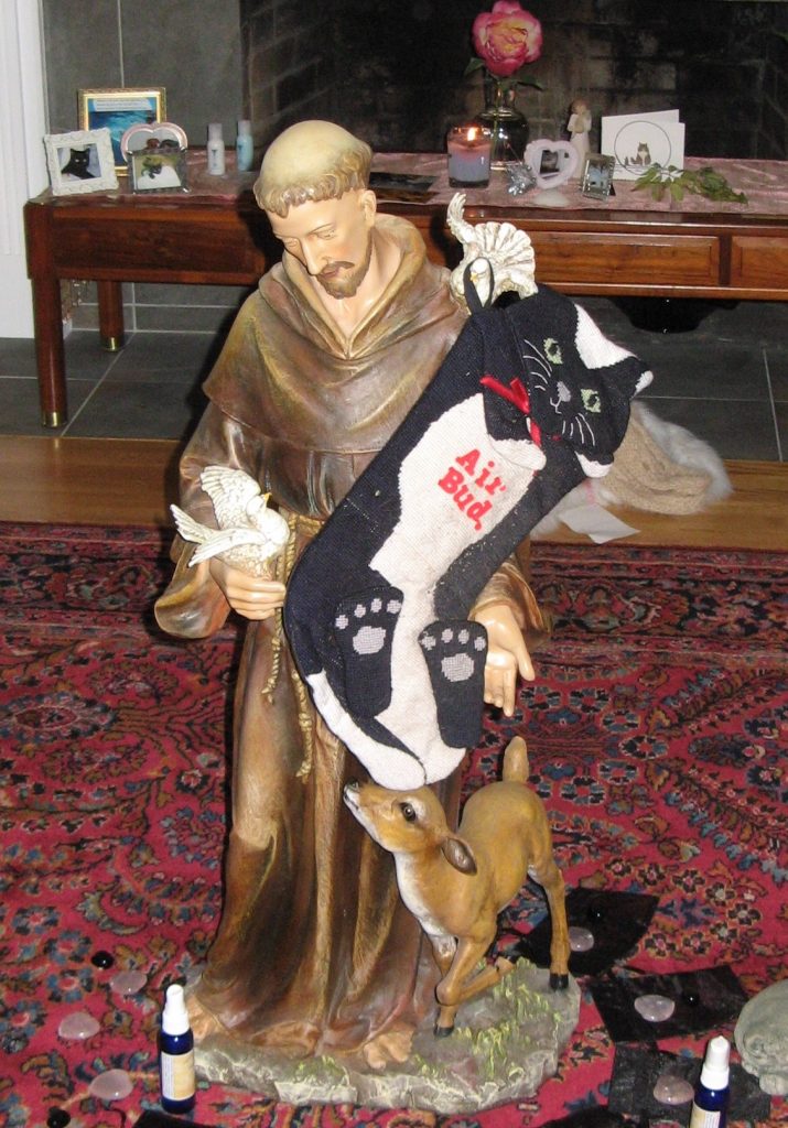 Pet loss during holidays-Stocking for cat on St. Francis statue