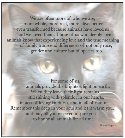 Teresa Wagner pet loss grief suppor pioneer. Image of handsome black cat with quote