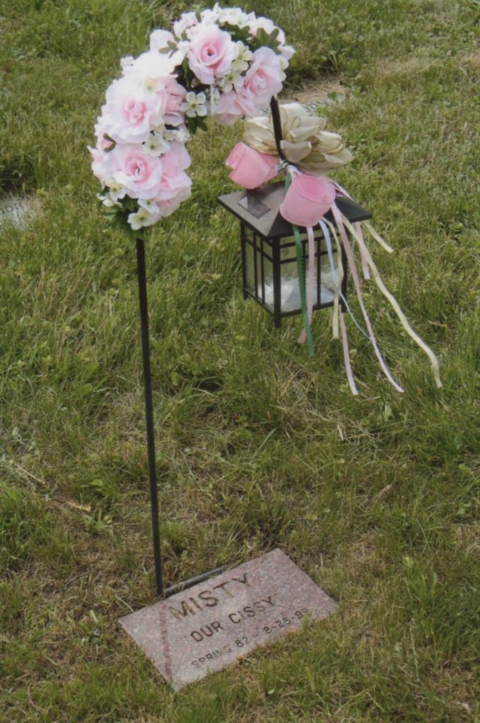 Spirituality in pet loss grief counseling-Grave for cat Misty