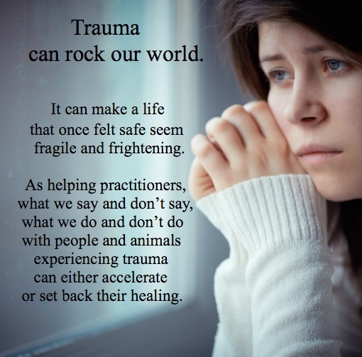 Trauma impacts pet loss and grief support. Image of woman looking forlorn