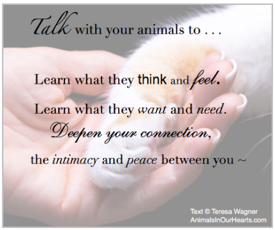 Animal Communication with Teresa Wagner