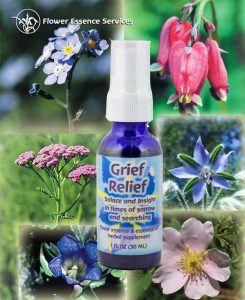 Flower essenes to heal pet loss-image of Grief Relief flower essence bottle with flowers