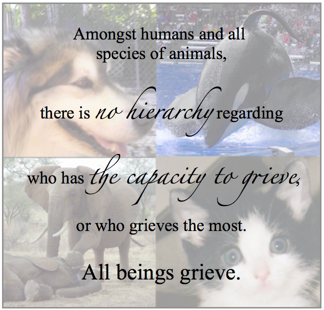 Animals Grieve Too; image of dog, cat, whale, elephant