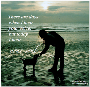 Animal Communication and Grief